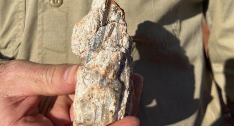 Kairos Geologist Campbell Watts holding a piece of pegmatite containing large crystals interpreted to be spodumene, discovered at ‘Lucky Sump’ during routine earth moving activities.